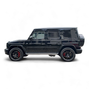 G-Class W463 (1992-2018)