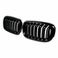 Black Front Grill M-look for BMW X5 F15 (2014 to 2018)