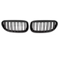 Black Front Grilles for BMW 6 Series E63 E64 (2003 to 2010)