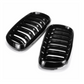 BMW X6 F16 Black Front Kidney Grill (2014 to 2018)