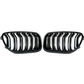 Black Front Grilles for BMW 5 Series F10 F11 (2010 to 2017)